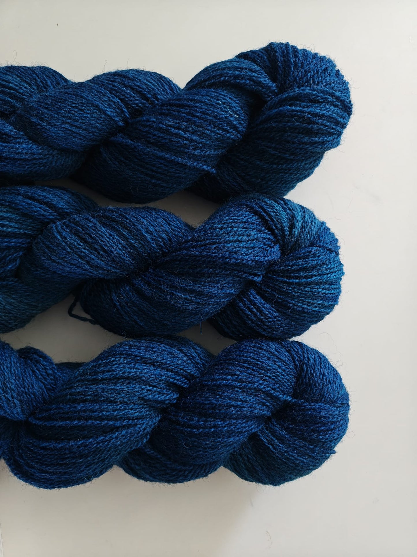 HARVEST HUES