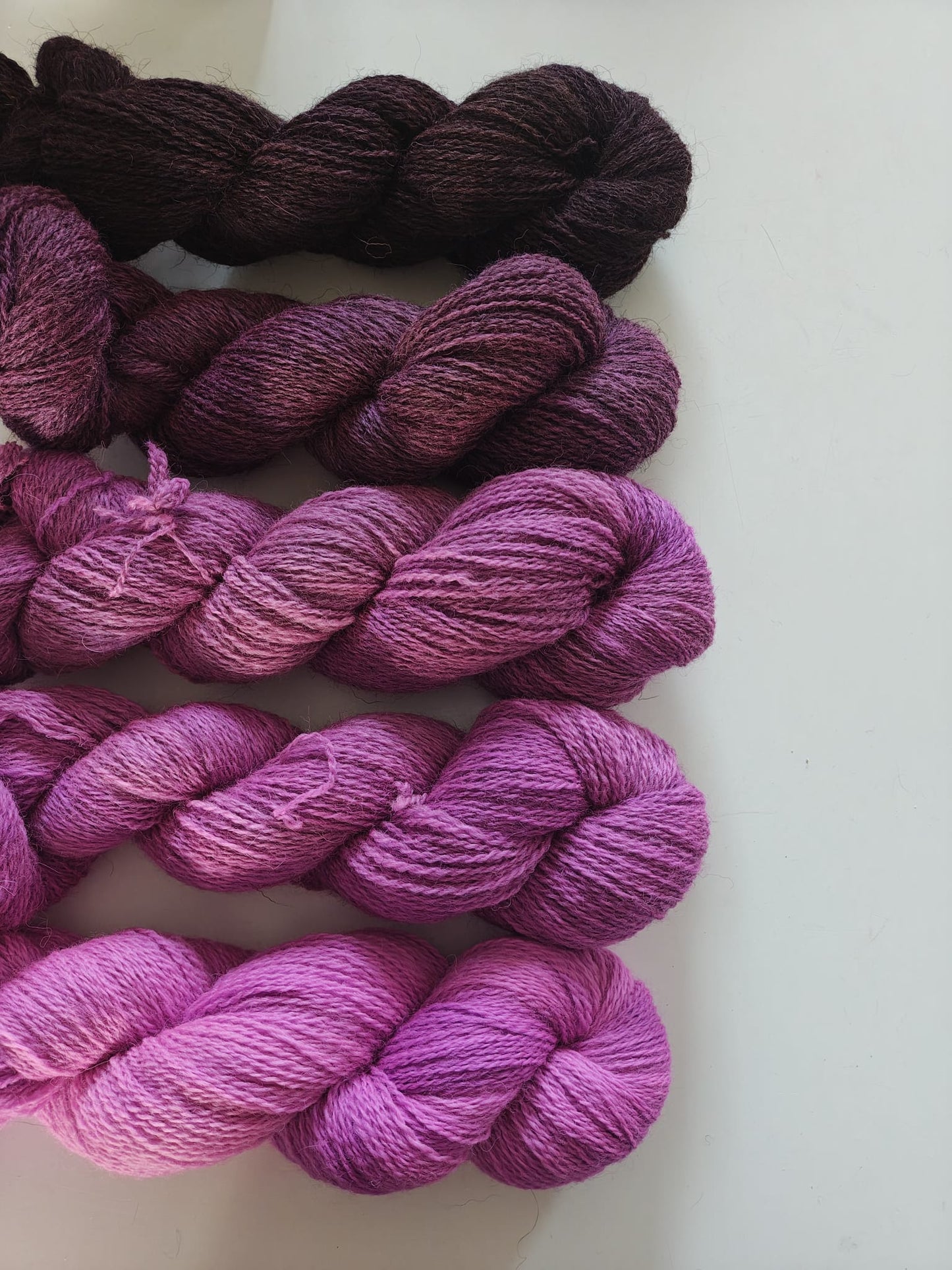 MASHAM OMBRE