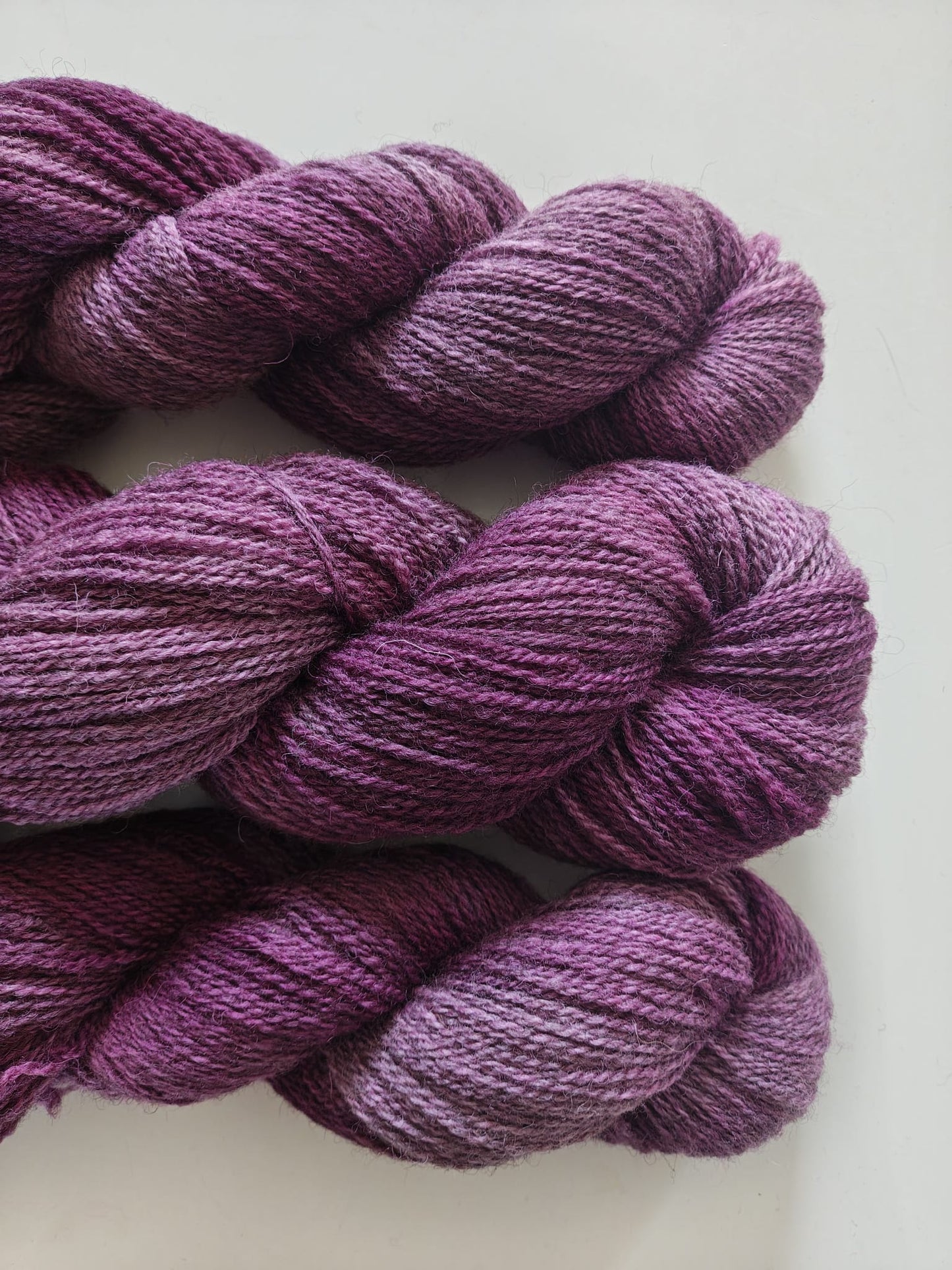 HARVEST HUES